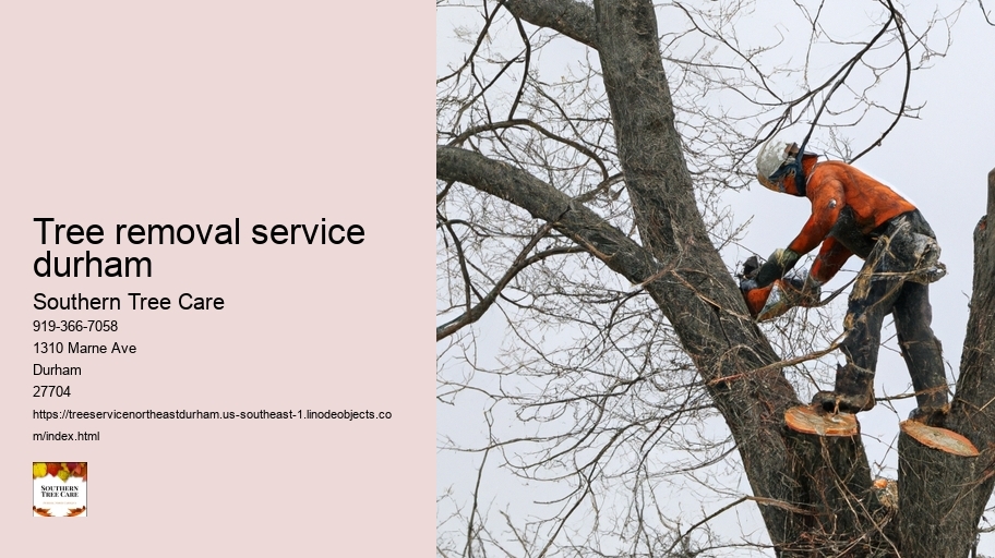 tree removal service durham