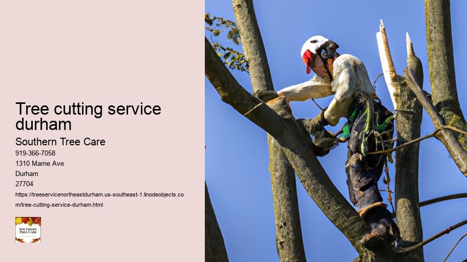 tree cutting service durham