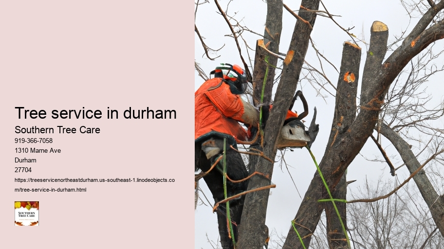 tree service in durham